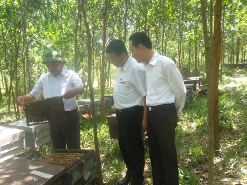 xóa đói giảm nghèo.jpg