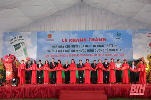 ảnh.jpg